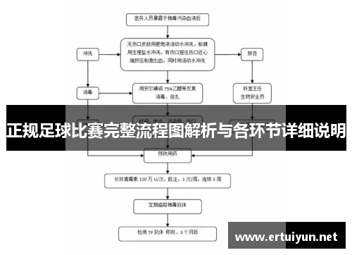 正规足球比赛完整流程图解析与各环节详细说明